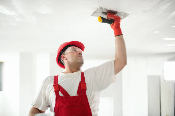 East Lake Orient Park, FL Dry wall and painting Company